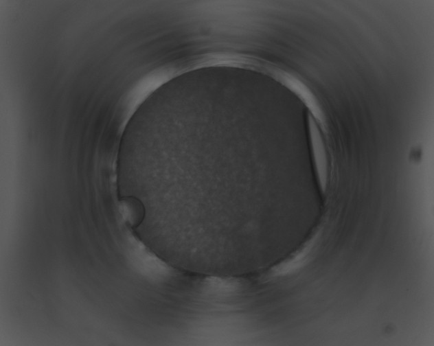 X0000091550954200708311351