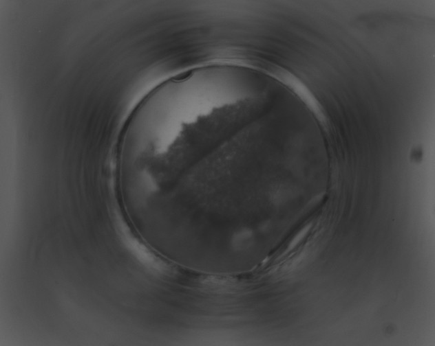 X0000091550955200708311351
