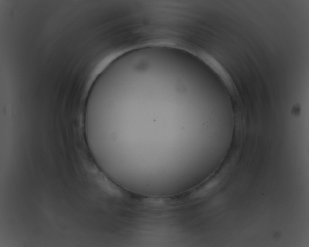 X0000091550956200708311351