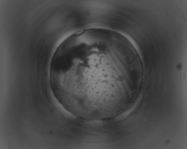 X0000091550957200708311351
