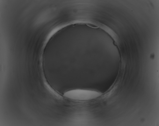 X0000091550958200708311351