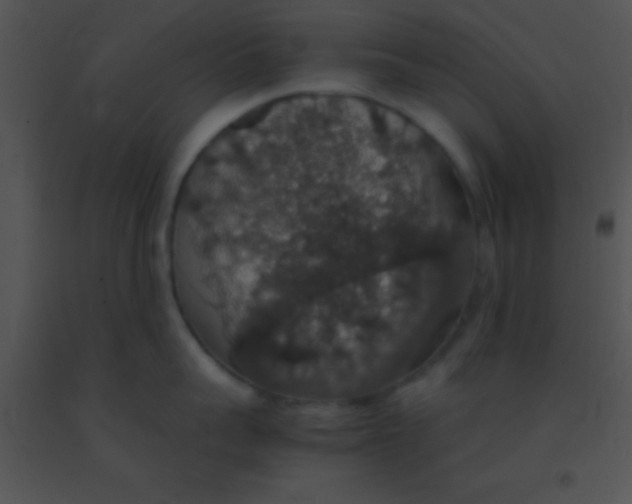 X0000091550959200708311351