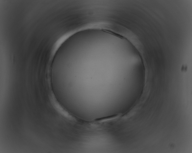 X0000091550960200708311351