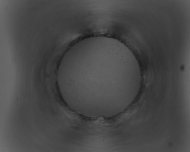 X0000091550961200708311351