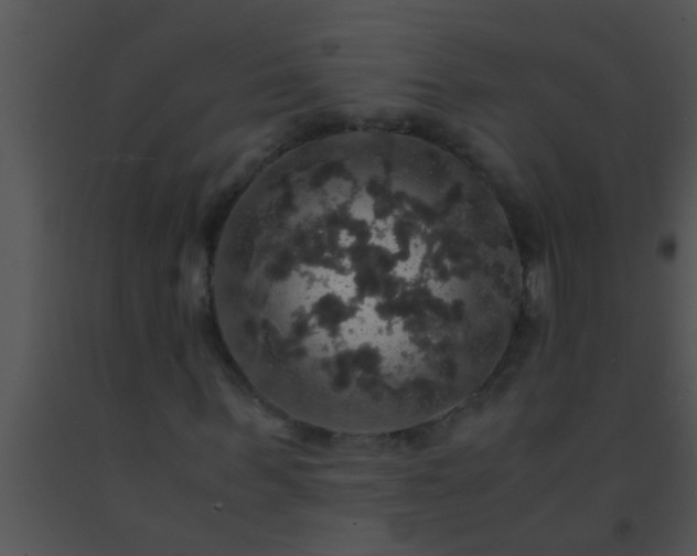 X0000091550963200708311350