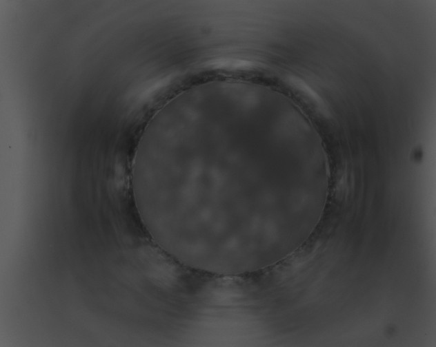X0000091550966200708311350