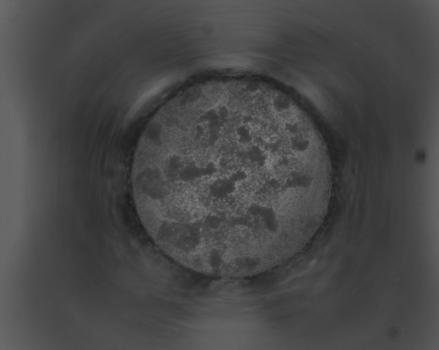 X0000091550967200708311350