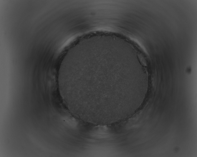 X0000091550968200708311350