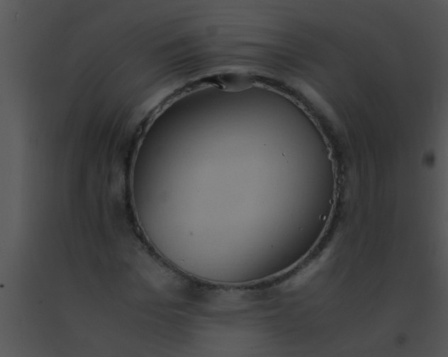 X0000091550969200708311350