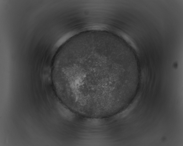 X0000091550970200708311350