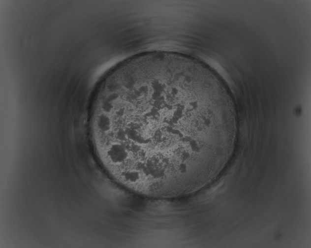 X0000091550971200708311350