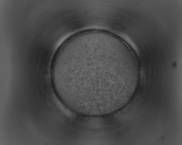 X0000091550972200708311350
