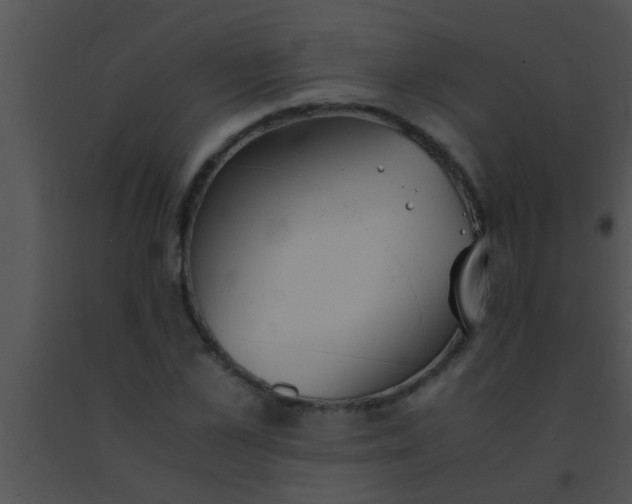 X0000091550973200708311350