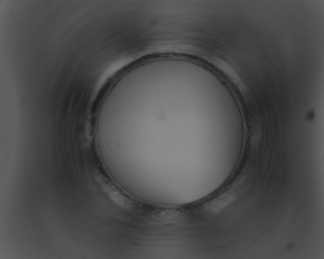 X0000091550974200708311350