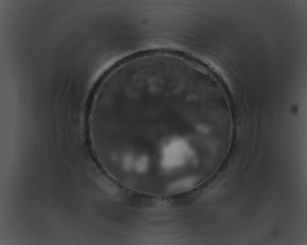 X0000091550975200708311350