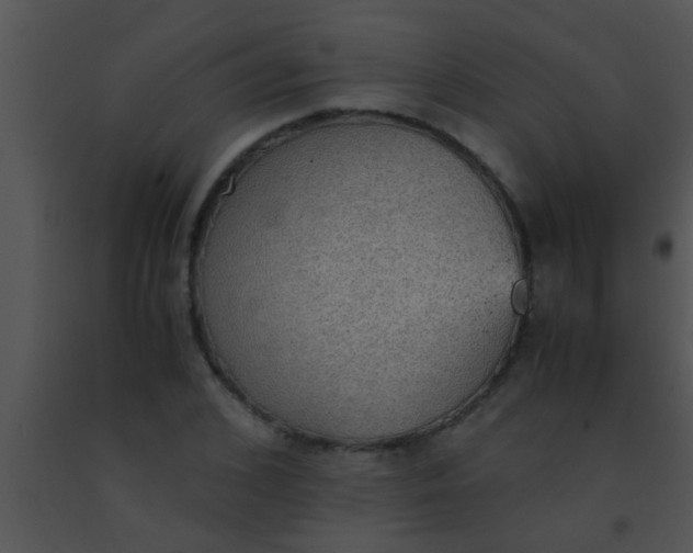 X0000091550976200708311350
