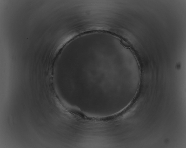 X0000091550977200708311350