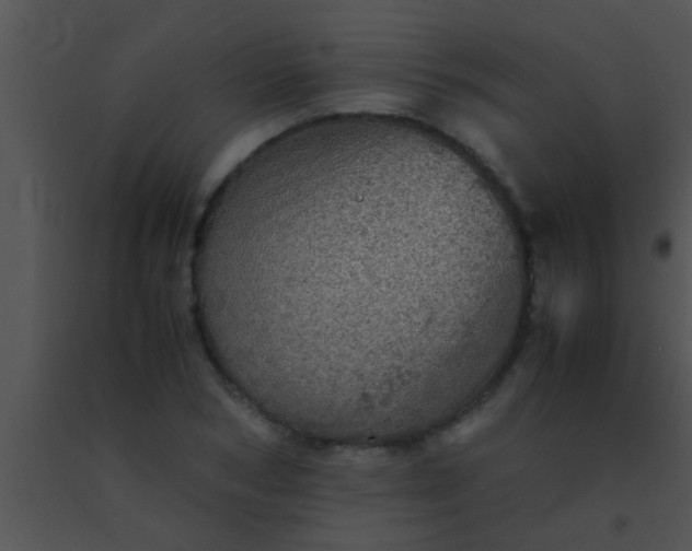 X0000091550978200708311350