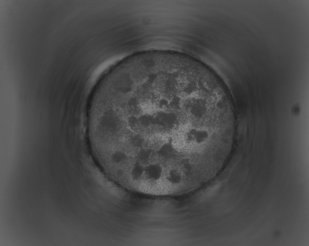 X0000091550979200708311350