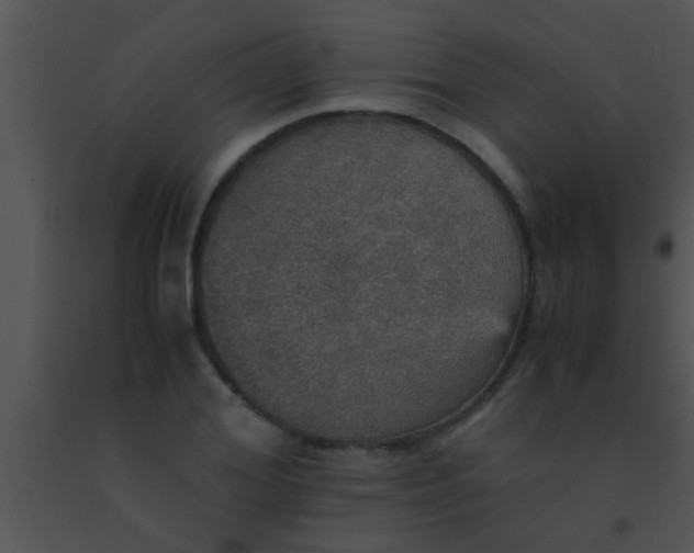 X0000091550980200708311350