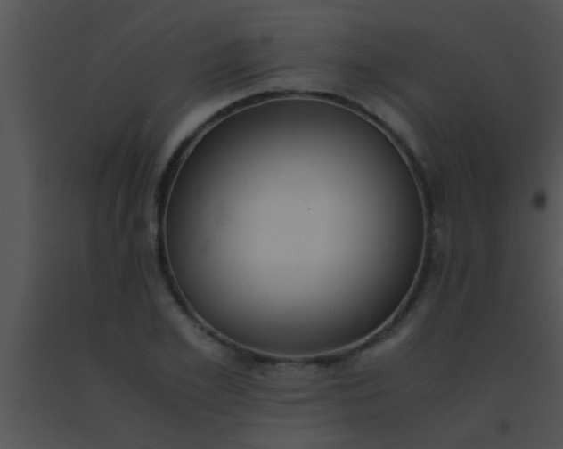 X0000091550981200708311350