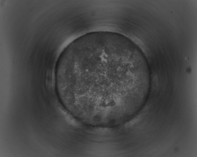 X0000091550982200708311350
