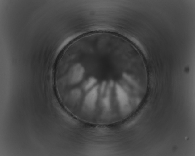X0000091550983200708311350