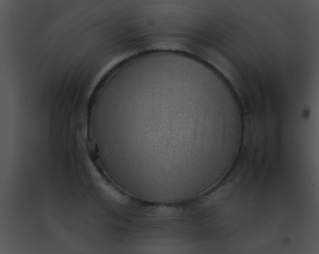 X0000091550984200708311350