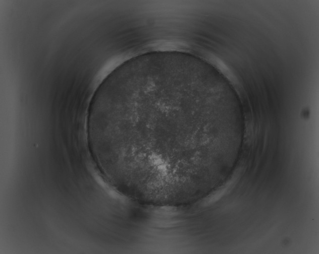 X0000091550986200708311350