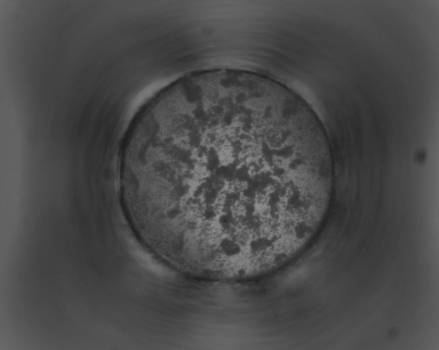 X0000091550987200708311350