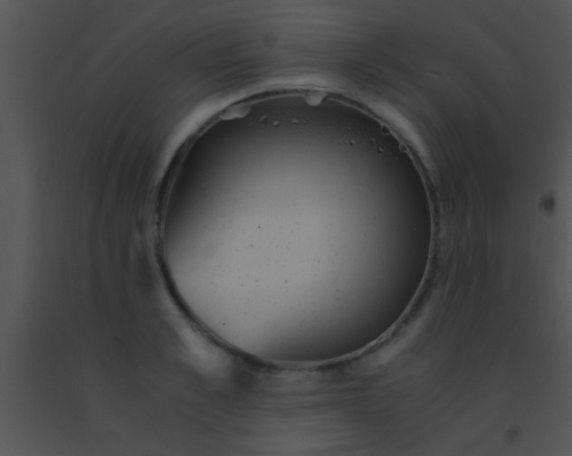 X0000091550989200708311350