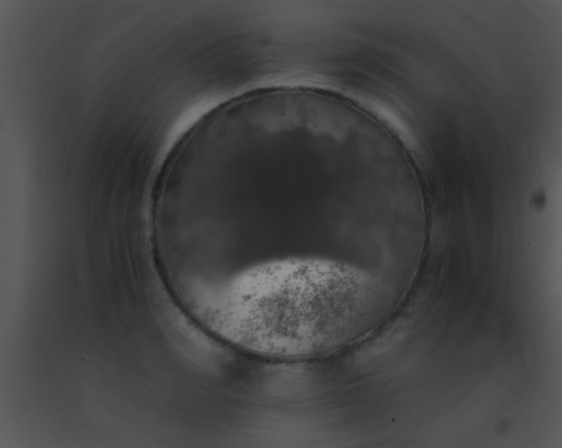 X0000091550990200708311350