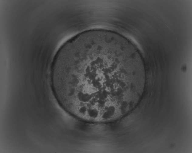 X0000091550991200708311350