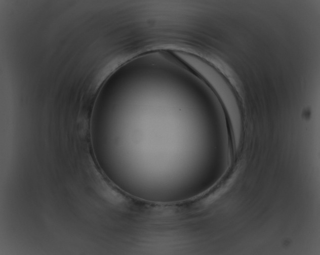 X0000091550993200708311350