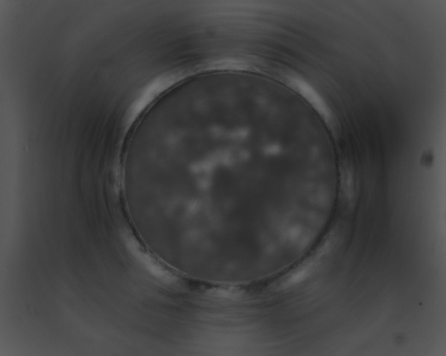 X0000091550994200708311350