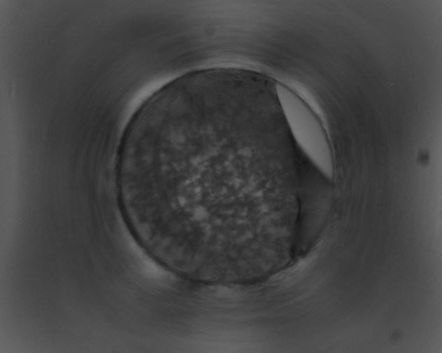 X0000091550995200708311350