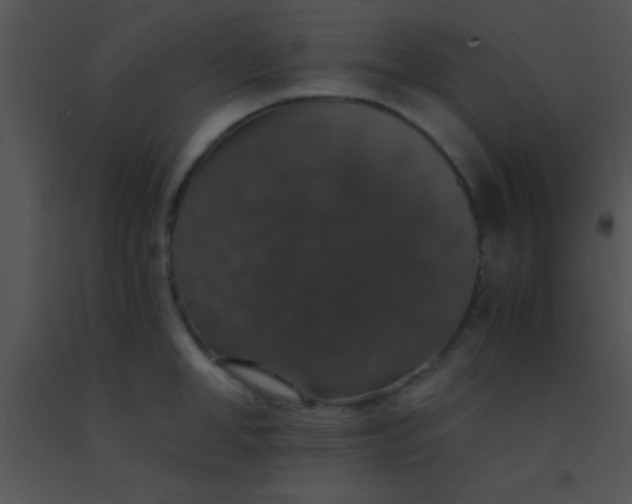 X0000091550998200708311350