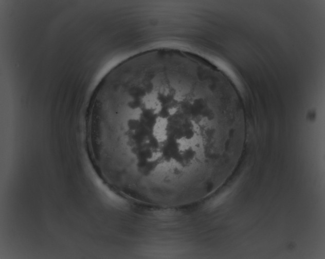 X0000091550999200708311350