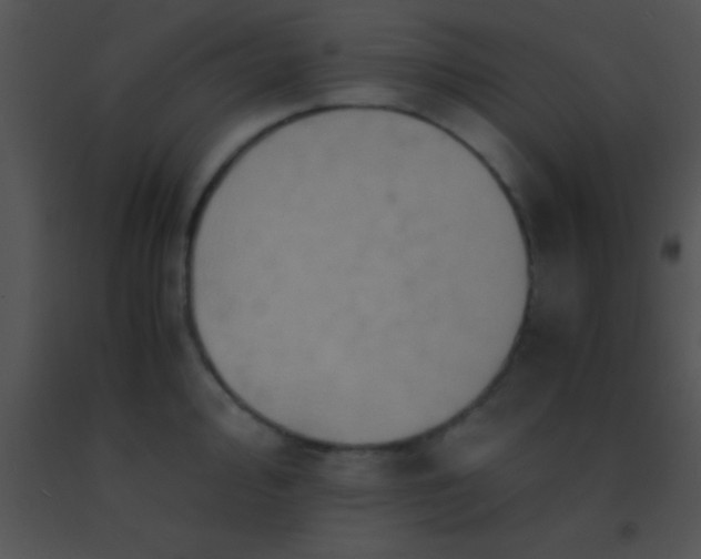 X0000091551000200708311350