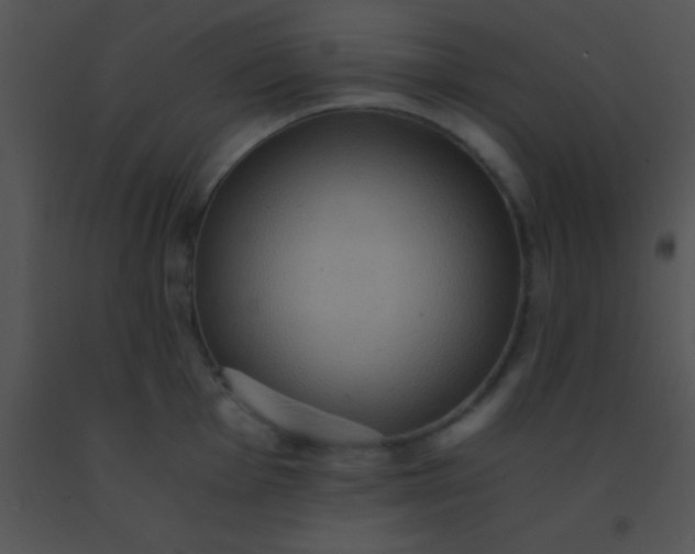 X0000091551001200708311350