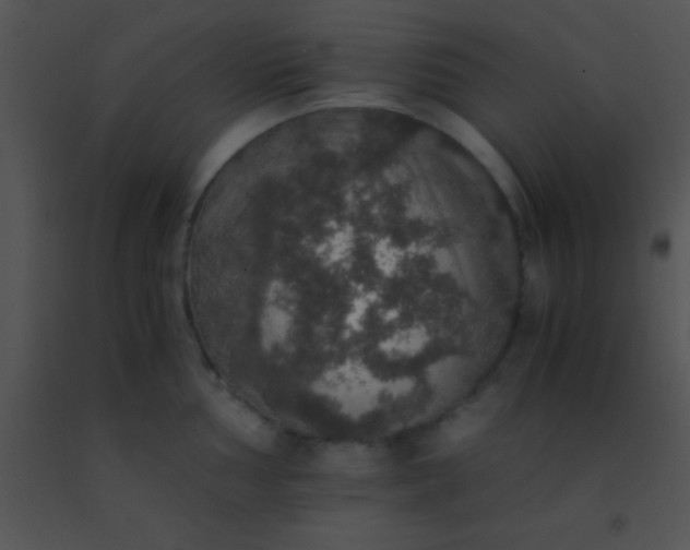X0000091551002200708311350