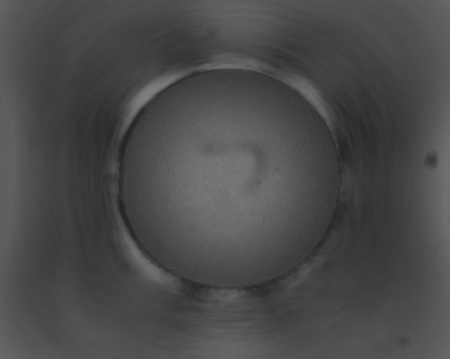 X0000091551003200708311350