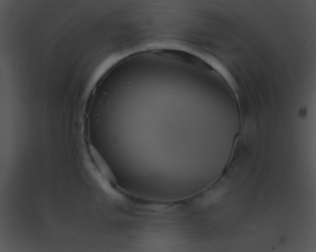 X0000091551005200708311350