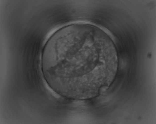 X0000091551006200708311350