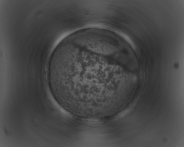 X0000091551007200708311350
