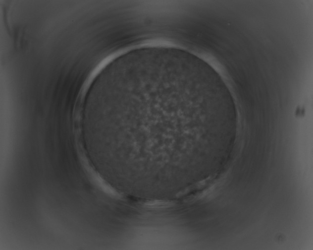 X0000091551008200708311350