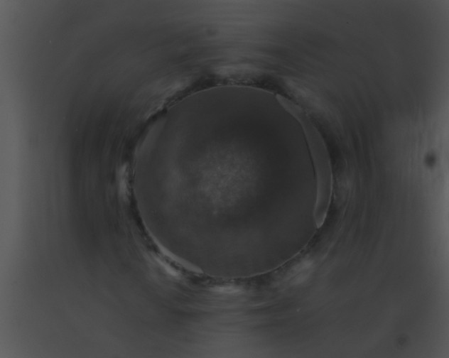 X0000091551010200708311349