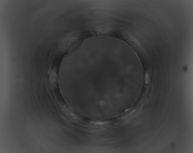 X0000091551011200708311349
