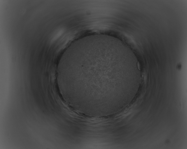 X0000091551012200708311349