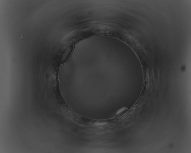 X0000091551013200708311349